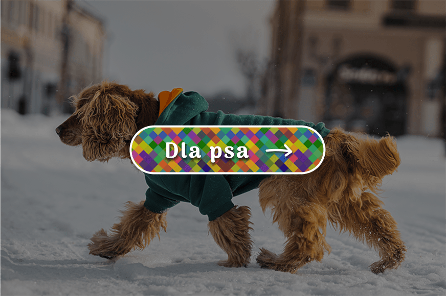 Kolekcje ubrań dla psów